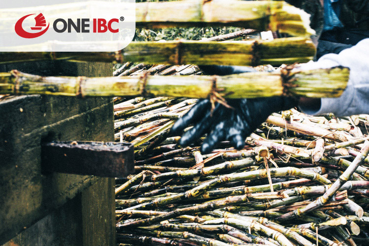 Agriculture Agriculture