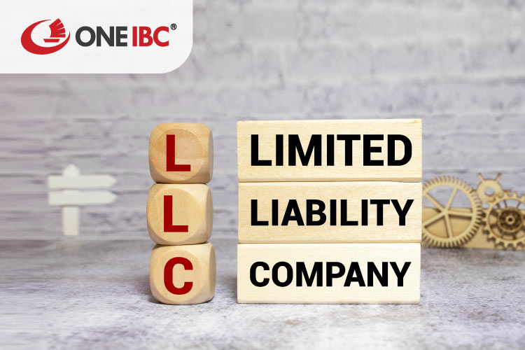 Setting up an Alaska LLC is a top choice for global investors Setting up an Alaska LLC - Alaska LLC, alaska llc advantages, alaska limited liability company