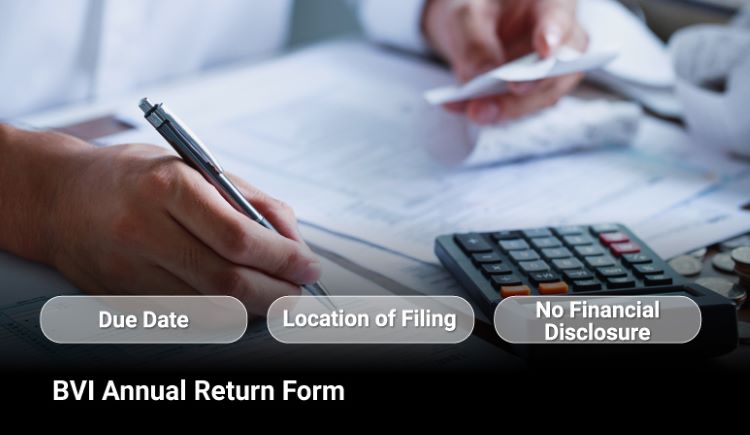 A verification of the company's directors and shareholders A verification of the company's directors and shareholders