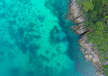 Registro de una empresa comercial internacional (IBC) en Seychelles