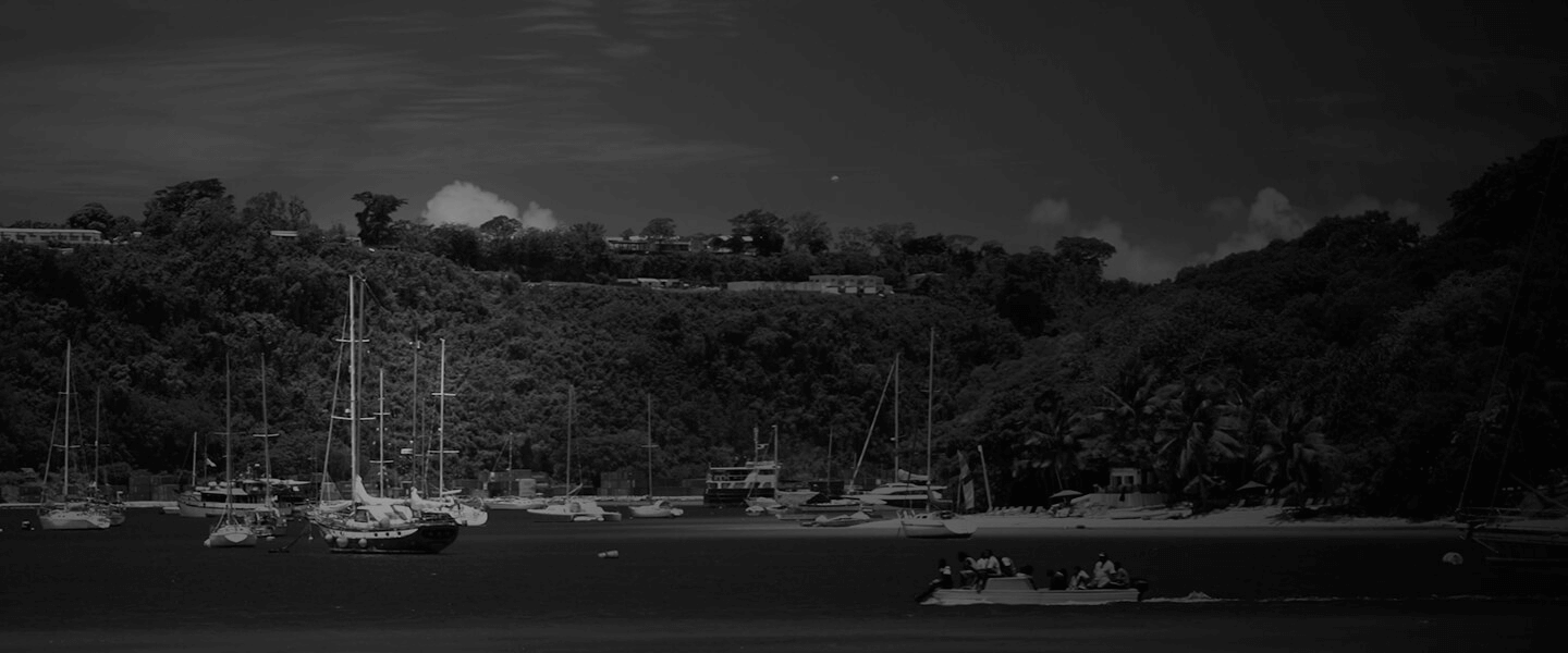 Vanuatu International Company (IC)