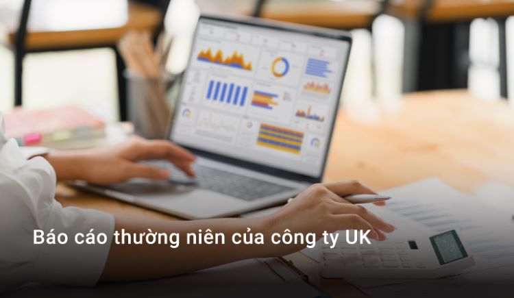 Báo cáo thường niên của công ty UK