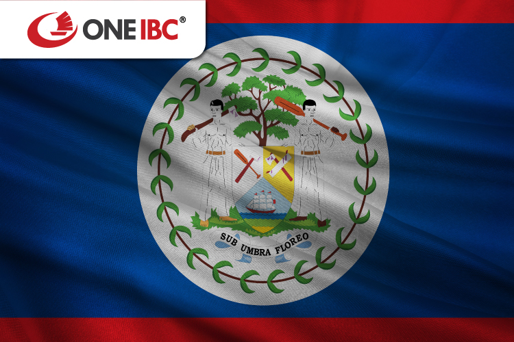 Belize economic system is characterized by progressive development
 strategies