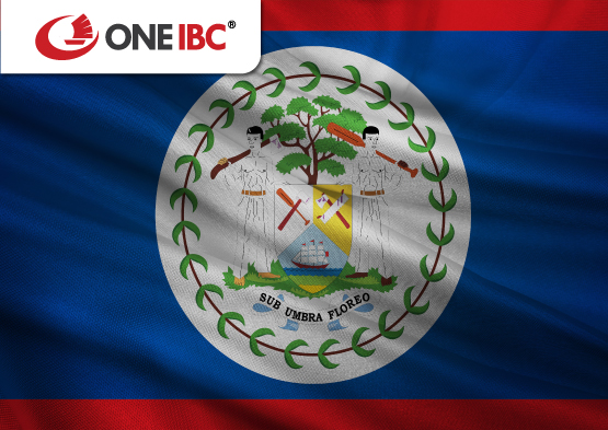 What type of economy does Belize have?