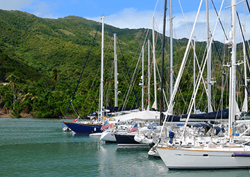 British Virgin Islands Business Company British Virgin Islands Business Company