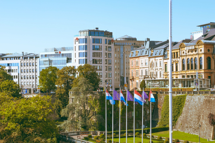 Business ideas in Luxembourg