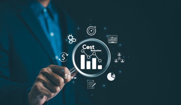 BVI business license cost involves application and renewal fees