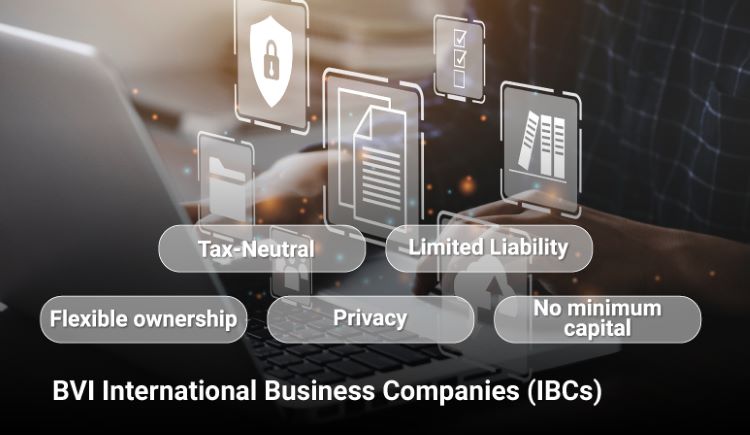 BVI IBCs provide privacy, flexibility, and tax efficiency BVI IBCs provide privacy, flexibility, and tax efficiency