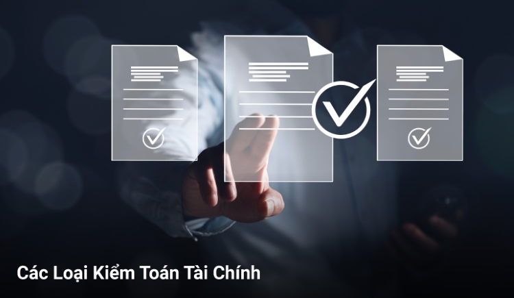 Các Loại Hình Kiểm Toán Tài Chính
