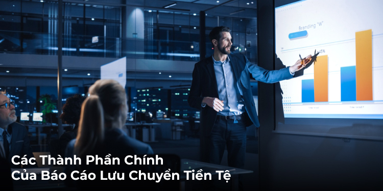 Các thành phần chính của ghi chú báo cáo lưu chuyển tiền tệ