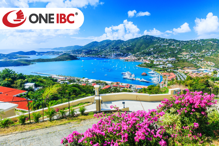 Caribbean investment citizenship program is very popular to global
investors Caribbean investment citizenship program is very popular to global
investors