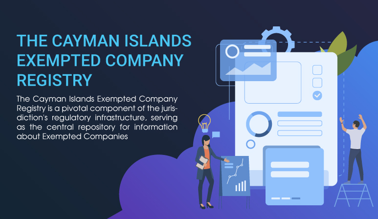 The functions, significance, and operational aspects of the Cayman Islands Exempted Company Registry