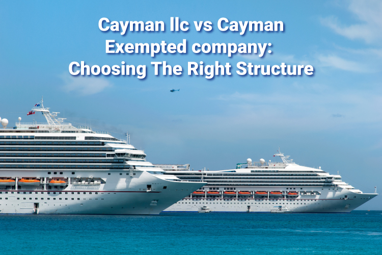 Cayman exempted company
