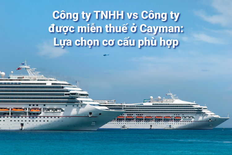 Công ty được miễn thuế Cayman