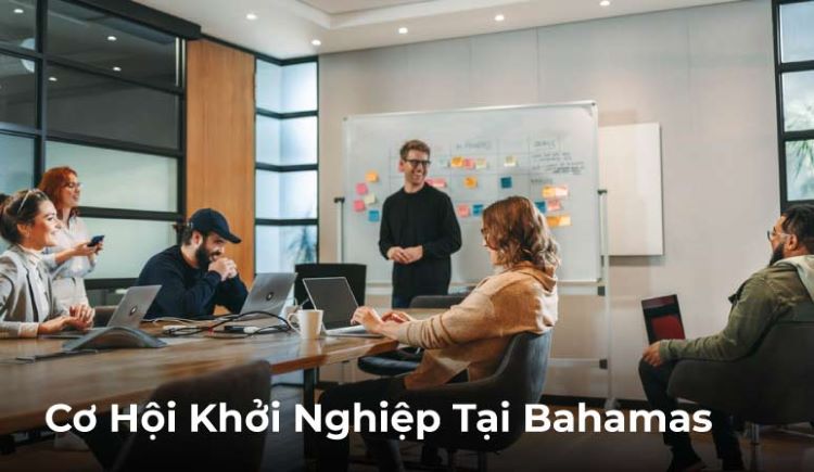 Cơ Hội Khởi Nghiệp Tại Bahamas Dành Cho Các Doanh Nghiệp Mới