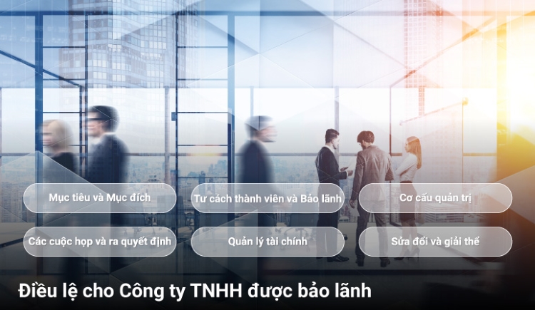 Điều lệ cho Công ty TNHH có Bảo lãnh Điều lệ cho Công ty TNHH có Bảo lãnh
