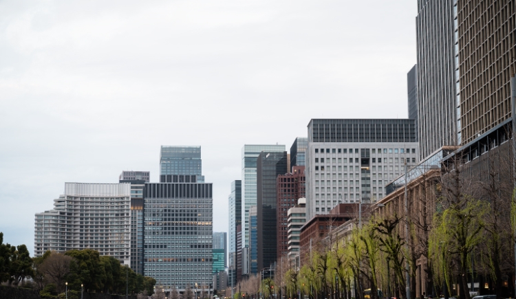 Difference between limited and unlimited companies in the UK Difference between limited and unlimited companies in the UK
