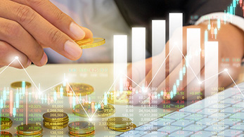 Electronic Money Institutions (EMIs)