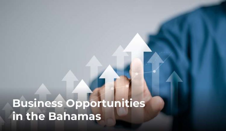 Exploring Lucrative Business Opportunities in the Bahamas