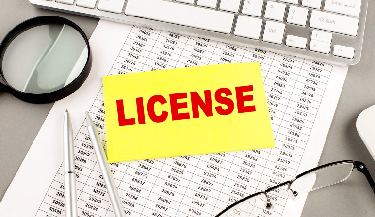 A RAK free zone license is just a business license