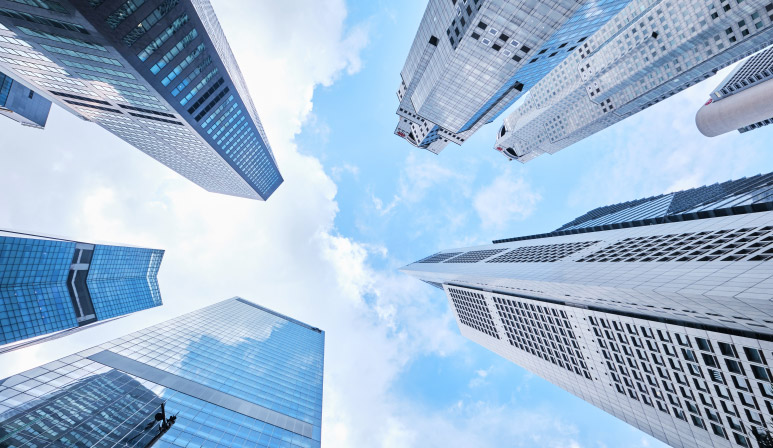 Overview of the Types of Company in Singapore