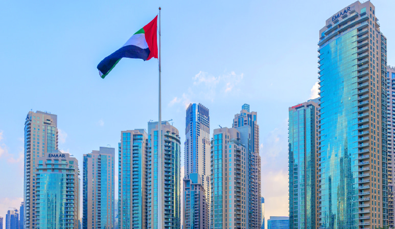 UAE Free Zone companies must understand and comply with specific VAT regulations UAE Free Zone companies must understand and comply with specific VAT regulations