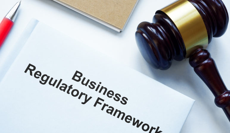 Legal and regulatory framework of the Cyprus holding company Legal and regulatory framework of the Cyprus holding company