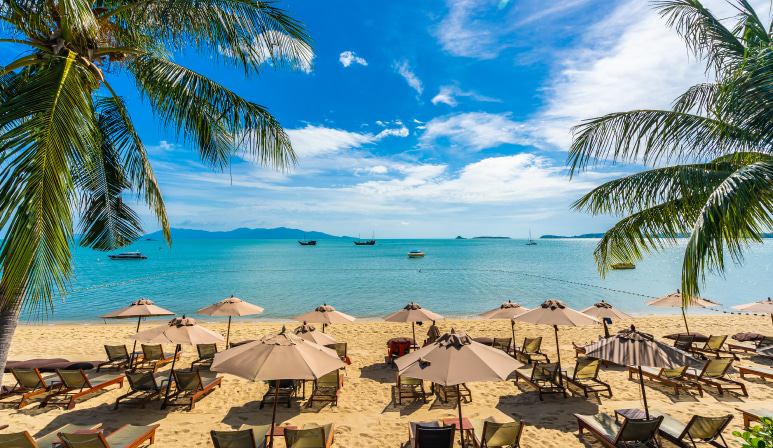 Airbnb works in Saint Lucia as an online platform connecting hosts with travelers seeking personalized accommodations.