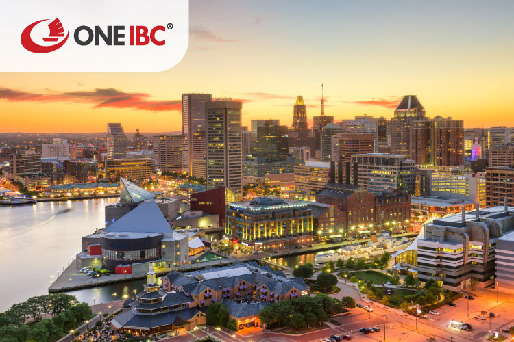 How do I get a business license in Maryland for specialized professions?