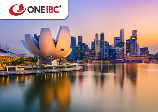 How to set up a private limited company in Singapore?