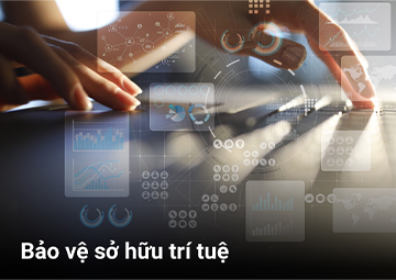 Hướng Dẫn Cơ Bản Về Bảo Vệ Sở Hữu Trí Tuệ: Các Loại, Biện Pháp Pháp Lý và Bước Chiến Lược