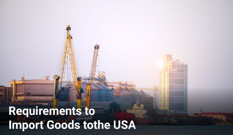 Key Requirements to Import Goods to the USA: A Quick Guide Key Requirements to Import Goods to the USA: A Quick Guide