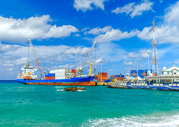 Main Characteristics of Cayman Company