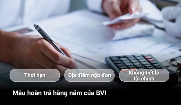 Mẫu hoàn trả hàng năm của BVI