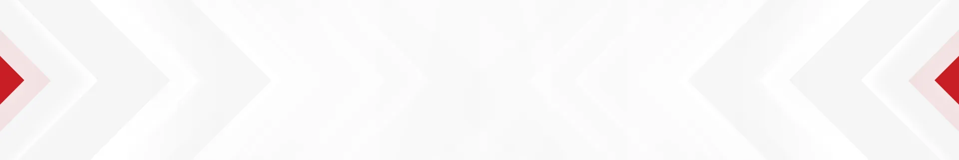 Ensure compliance with professional audit support