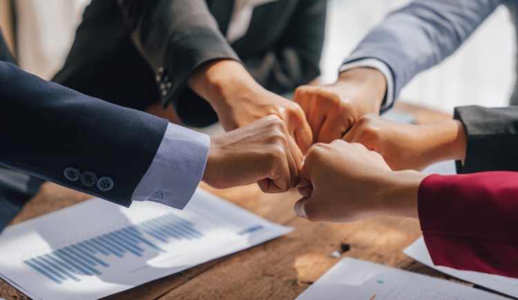 Nominee Shareholder Agreement Nominee Shareholder Agreement