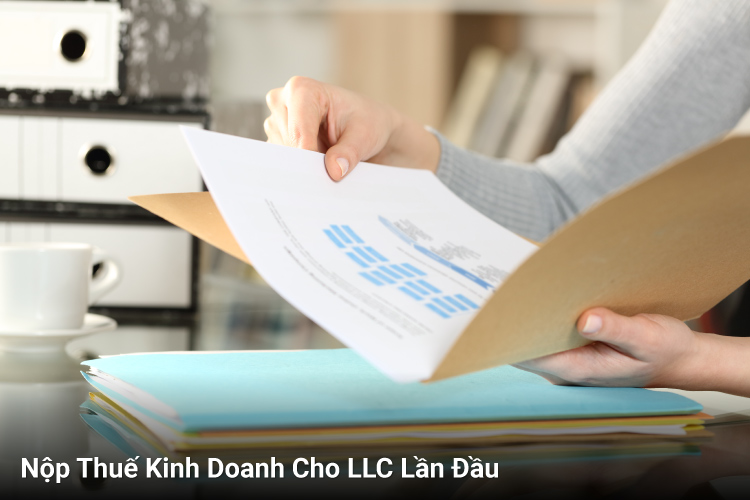 Nộp Thuế Kinh Doanh Cho LLC Lần Đầu