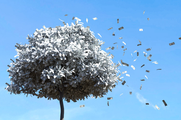 Public limited company advantages and disadvantages Public limited company advantages and disadvantages