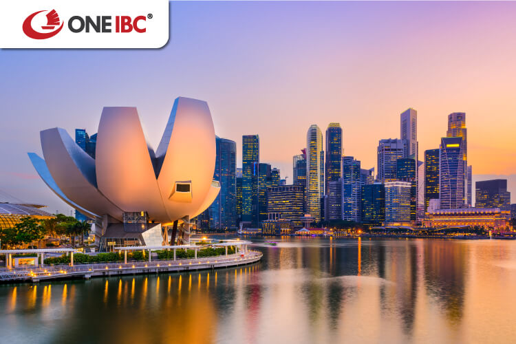 Singapore is a country with a thriving economy, attracting a lot of
attention from many investors Singapore is a country with a thriving economy, attracting a lot of
attention from many investors