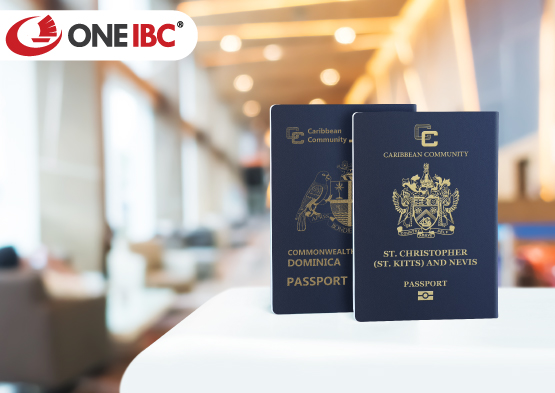 Why Is Caribbean Investment Citizenship Program So Popular?