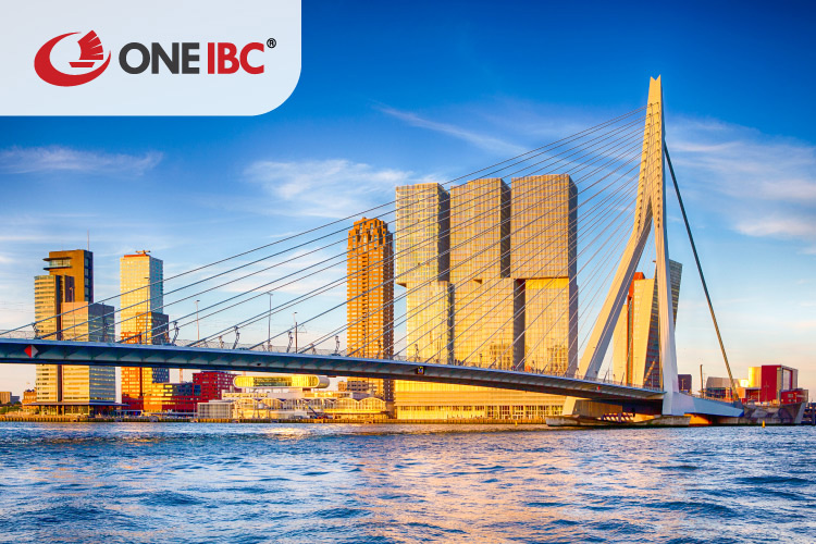 Cầu Erasmusbrug (Thiên Nga) ở thành phố Rotterdam hiện đại