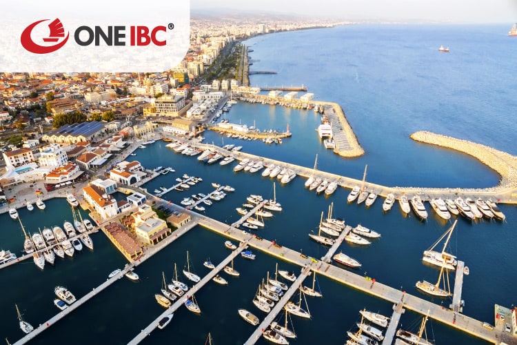 利馬索爾市繁忙的船隻 The busy ships at Limassol city