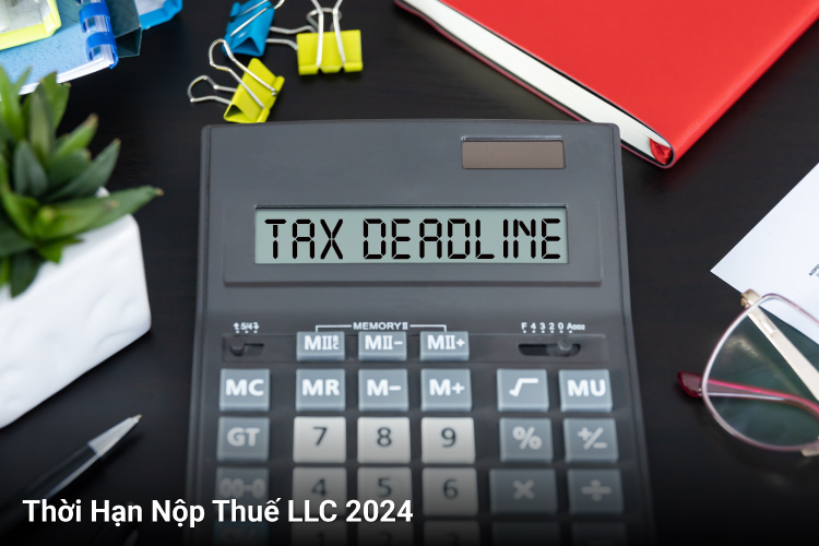 Thời Hạn Nộp Thuế LLC 2024