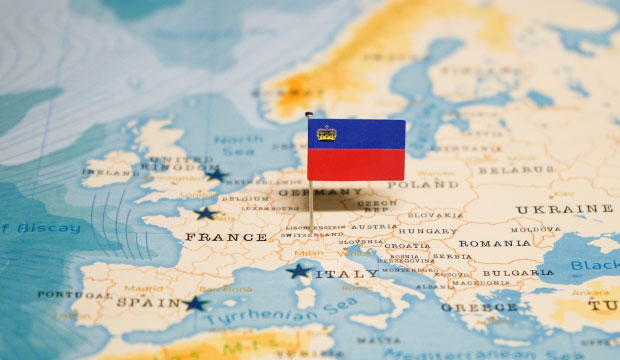 Liechtenstein Company Registry: Guide for Corporate and Financial Professionals