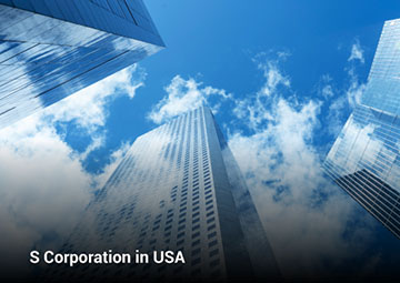 Overview of S Corporation in USA: Definition, Advantages, and Principal Differences