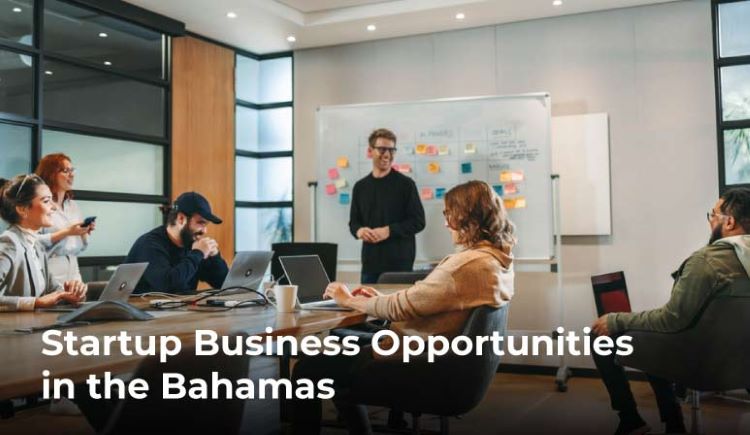 Top Startup Business Opportunities in the Bahamas