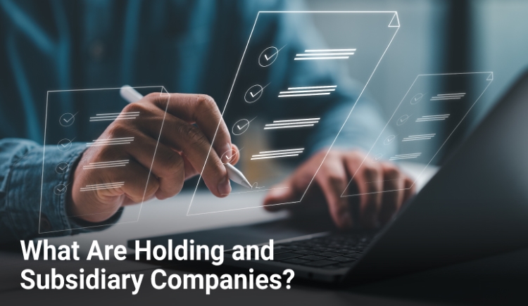 What Are Holding and Subsidiary Companies?
