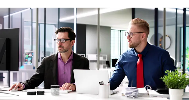 Tax filing and professional advisory