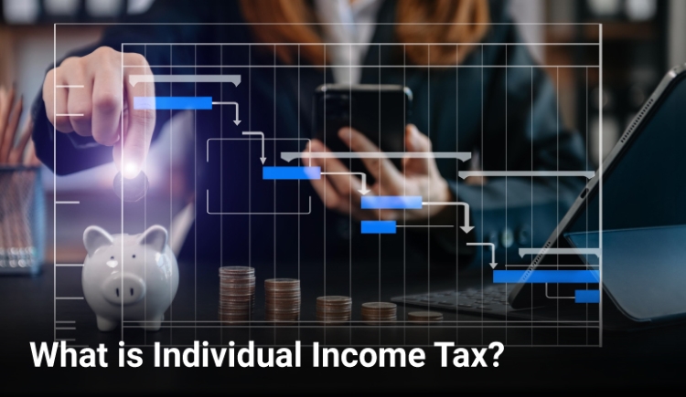 What is Individual Income Tax? What is Individual Income Tax?