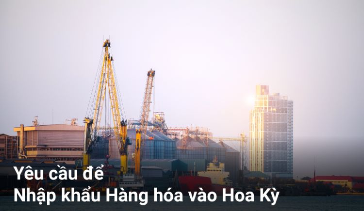 Yêu cầu để Nhập khẩu Hàng hóa vào Hoa Kỳ